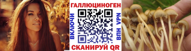 Галлюциногенные грибы мицелий  Купить где  Камышин 